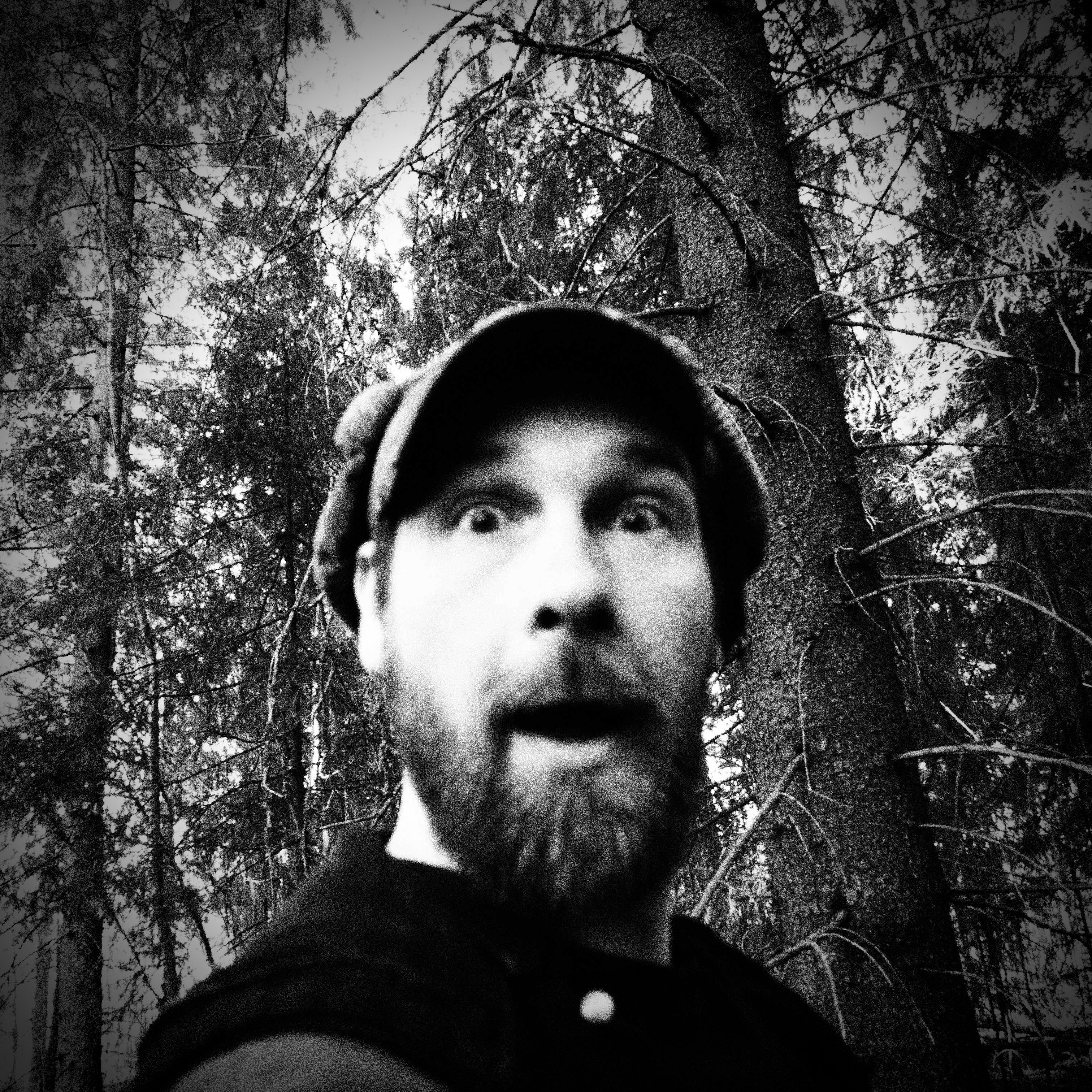 From the Woods